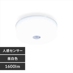 ^V[OCg ^T[LbgV[Y 1600lm lZT[t SCL16NMS-MCHL F 