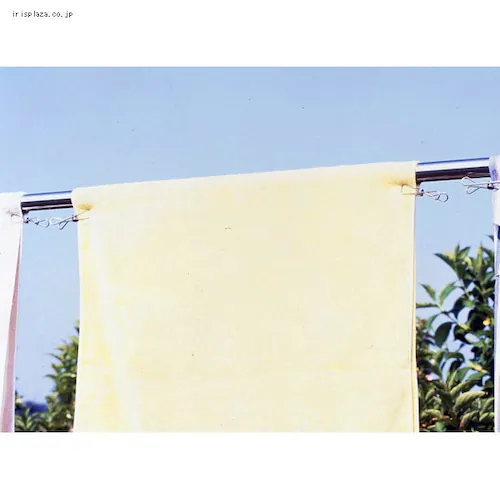g₷ȂXeXs`20g N 34852  _1