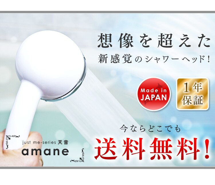 オムコ東日本 amane シャワーヘッド ベージュ 9