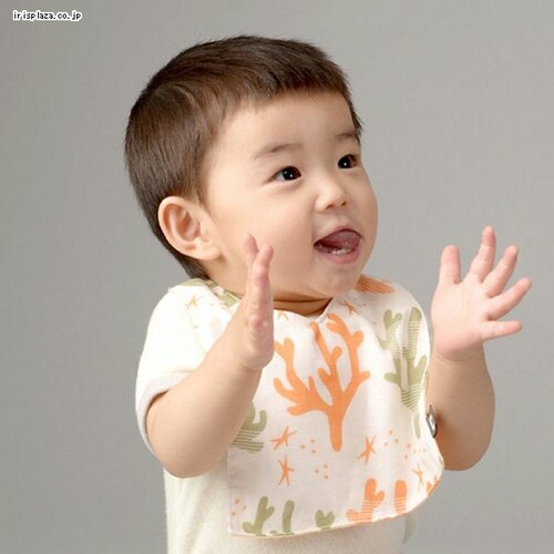 �|�P�b�g�K�[�[�r�u BBDB00410 �n�~���O�o�[�h D BY DADWAY �n�~���O�o�[�h _1