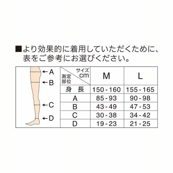 メディキュット ボディシェイプ 寝ながらスパッツ 骨盤サポート L