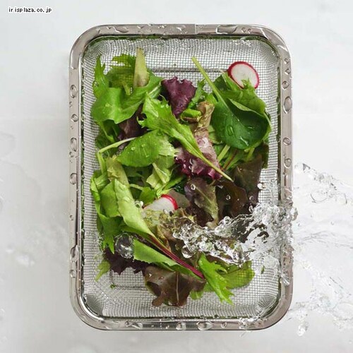 VJ XeXp^؂U  YJ2349 _1