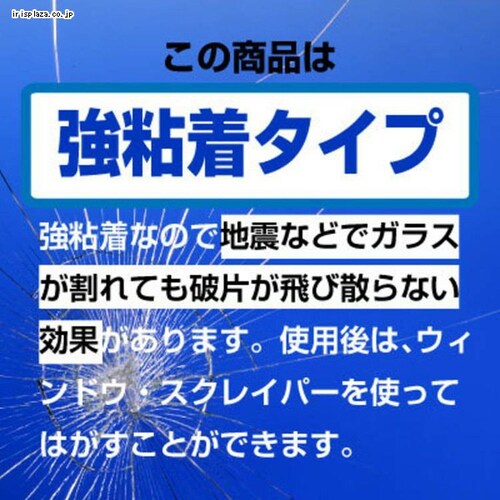 fM Uh~V[g~[fM651M 100cm Vo[~[ HGS651M _1