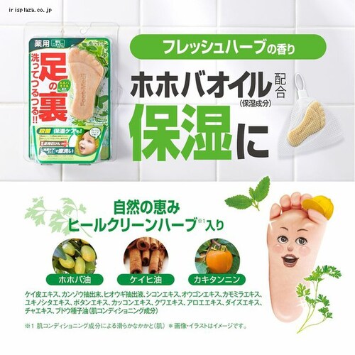 �t�b�g���W ��p�t�b�g�\�[�v �t���b�V���n�[�u�y�v���U�Z���N�g�z_1