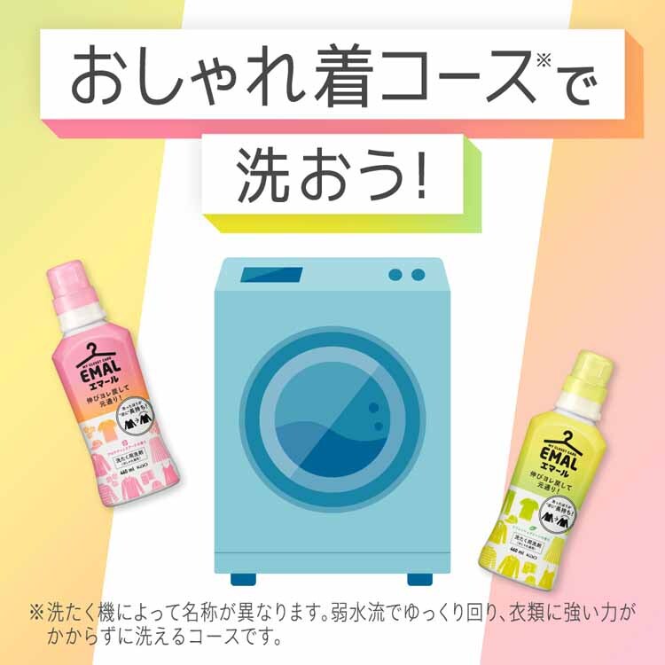 KAO 【6個セット】エマールつめかえ用 810ml 全2種類【プラザセレクト】