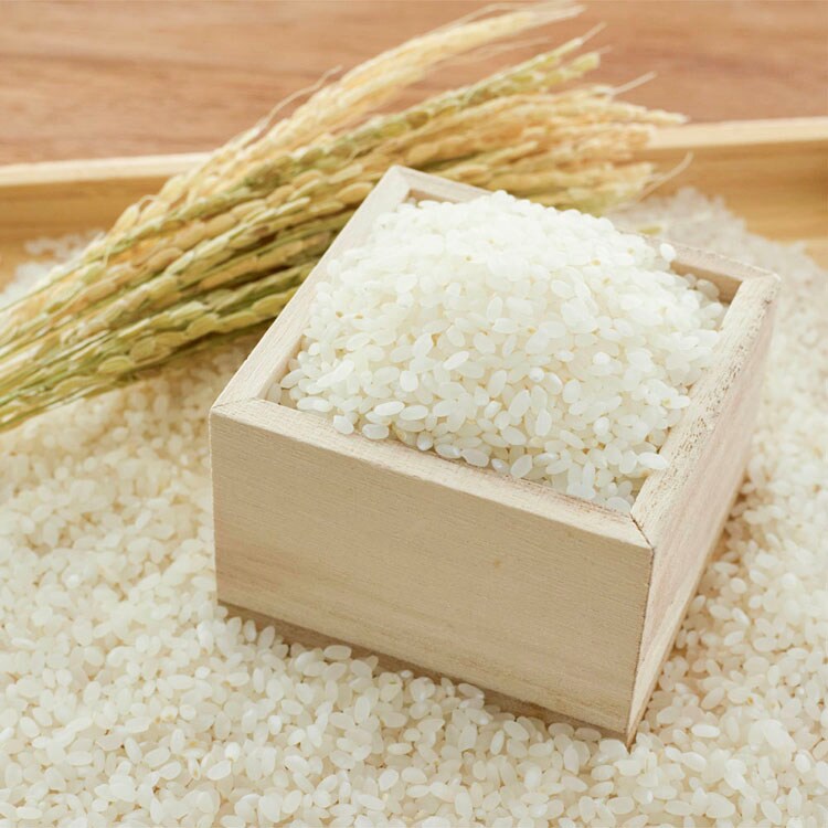 EDISONmama くちどけおこめぼー 25g KJZ430413 KJZ430414 KJZ440309