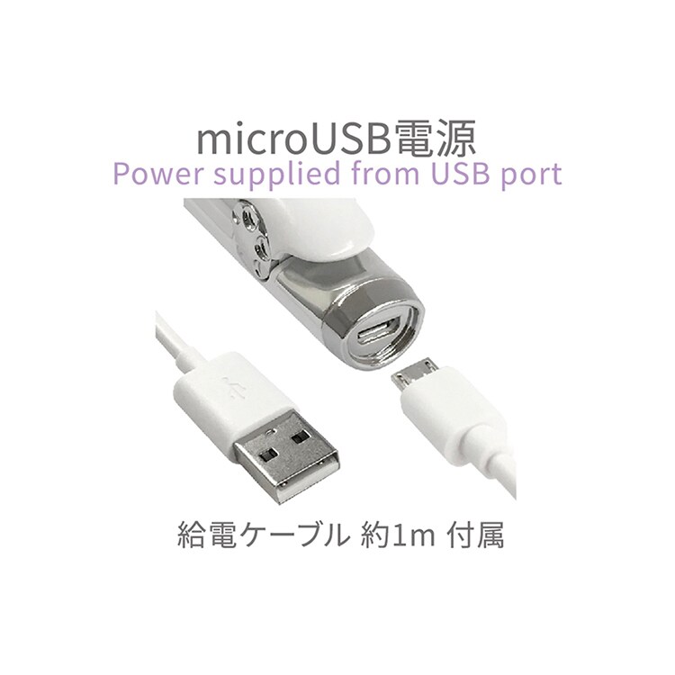 Kashimura 国内・海外使用 USB給電式 ミニヘアアイロン ストレート 耐熱ポーチ付き ホワイト TD-22 【プラザセレクト】