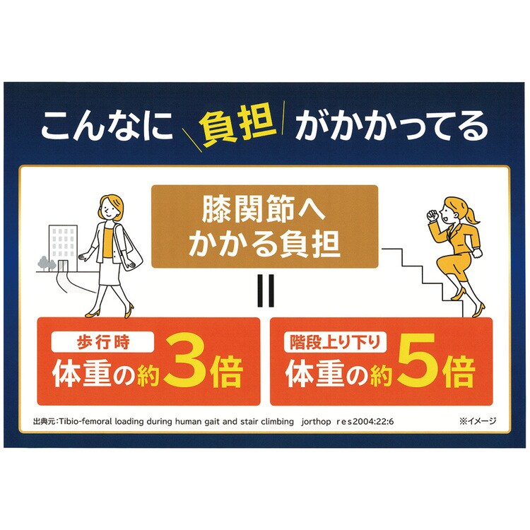 膝サポーターひざサポーター変形性膝関節症レディースメンズ男女兼用皮膚感覚カルヒザ2枚組noble 