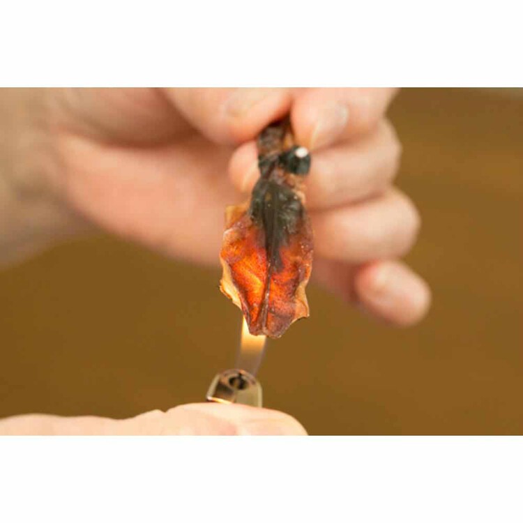 Tokka ほたるいか素干し 無添加 70g 【時間指定不可】【代引不可】【同梱不可】【プラザセレクト】