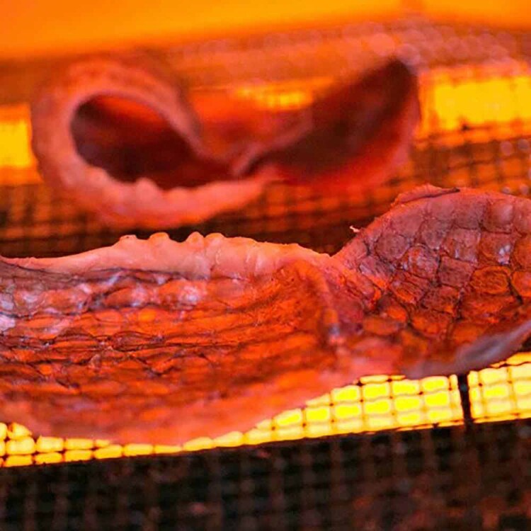 Tokka タコ丸干し おつまみ 珍味 85g 【時間指定不可】【代引不可】【同梱不可】【プラザセレクト】