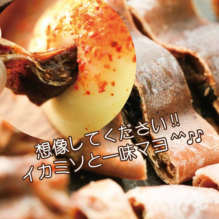 Tokka 丸干しいか おつまみ 珍味 85g 【時間指定不可】【代引不可】【同梱不可】【プラザセレクト】