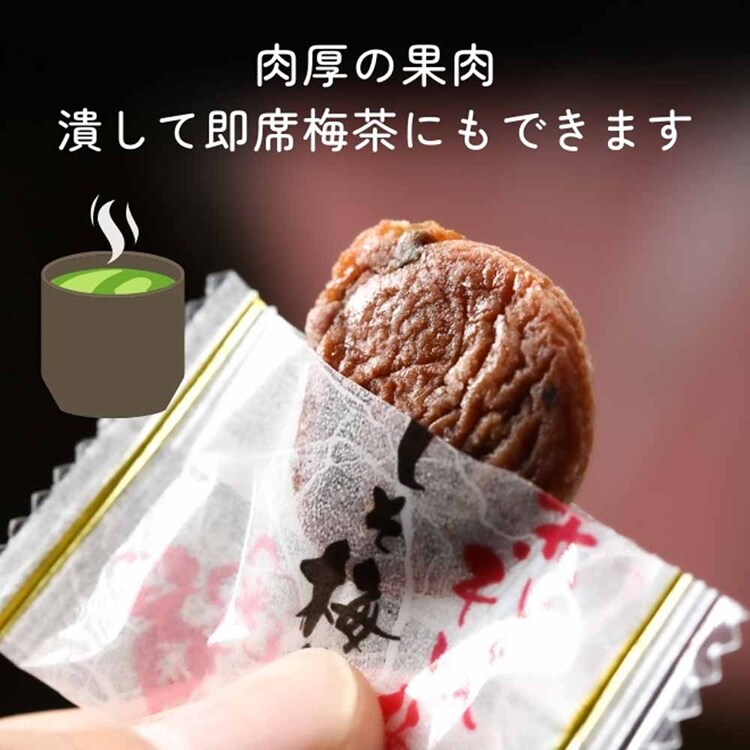 Tokka 種なし しそ梅ちゃん 90g 【時間指定不可】【代引不可】【同梱不可】【プラザセレクト】