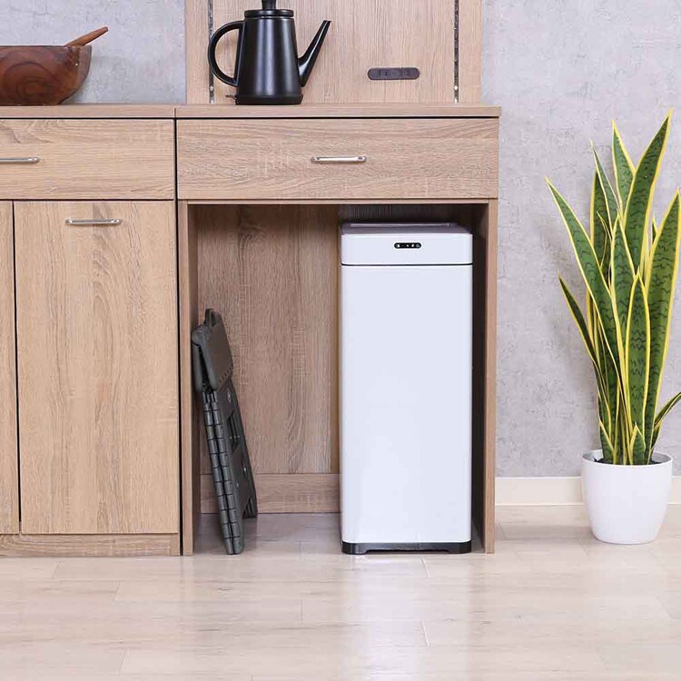 除菌消臭センサーダストボックス 45L 40310 ブラック【プラザセレクト