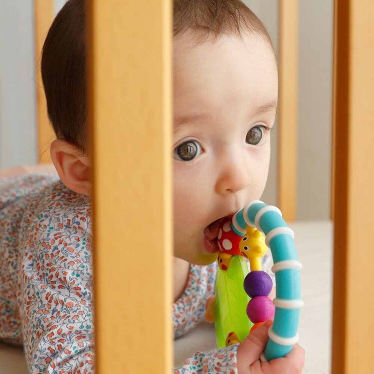 DADWAY カミカミみつばち/てんとうむし/あおむし TYSA80779 TYSA80777 TYSA80746 TYSA80678 【プラザセレクト】