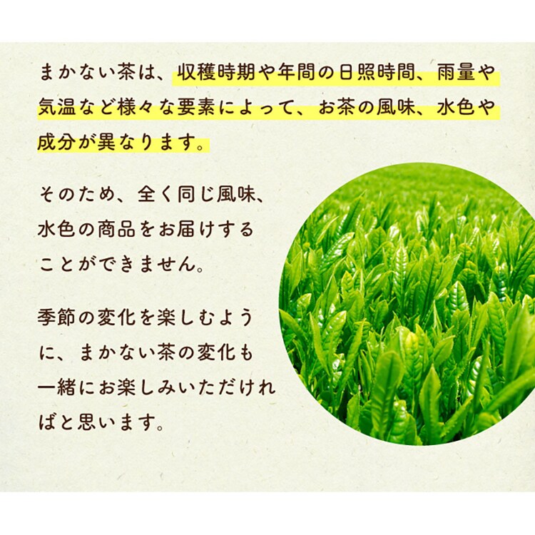 ティーライフ ティーライフのまかない茶 100個入 90751 【プラザセレクト】