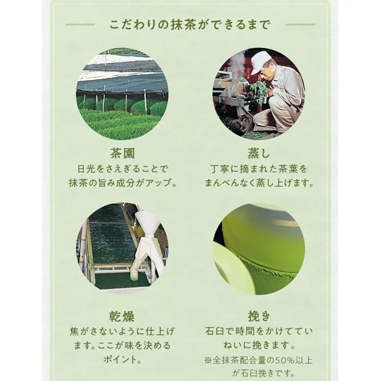 ティーライフ まるごとさんかく茶カップ用 50個入 465 【プラザセレクト】