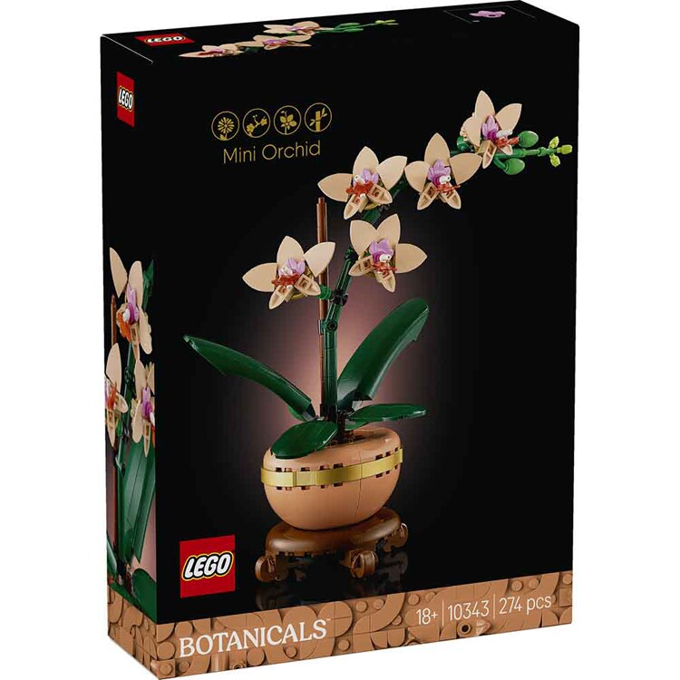 BOTANICALS ラン＜ミニ＞ 10343 【プラザセレクト】