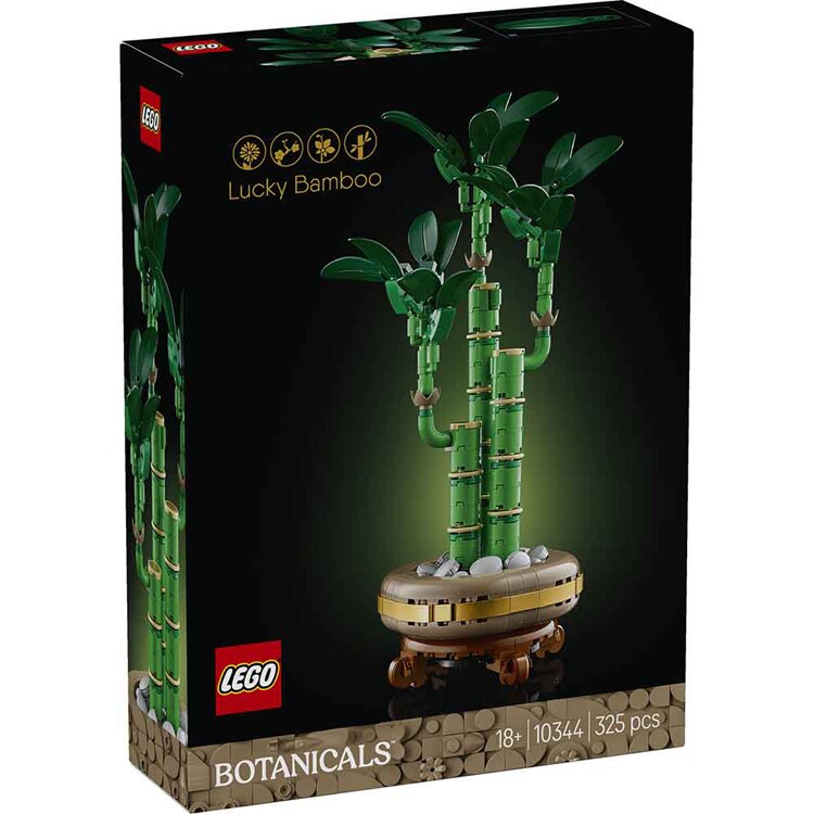 BOTANICALS ラッキーバンブー 10344 【プラザセレクト】