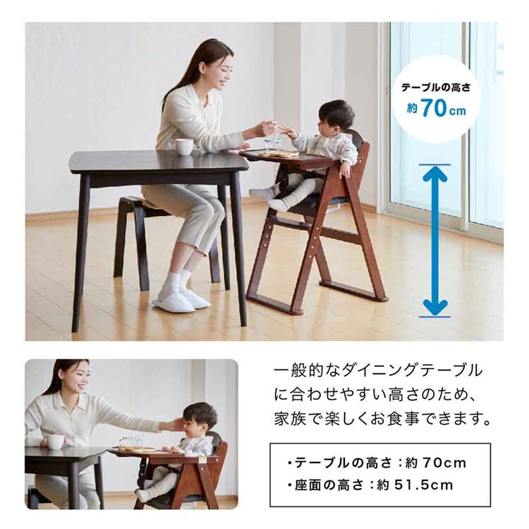 KATOJI 木製ワイドハイチェア ステップ切り替え 22418 22419