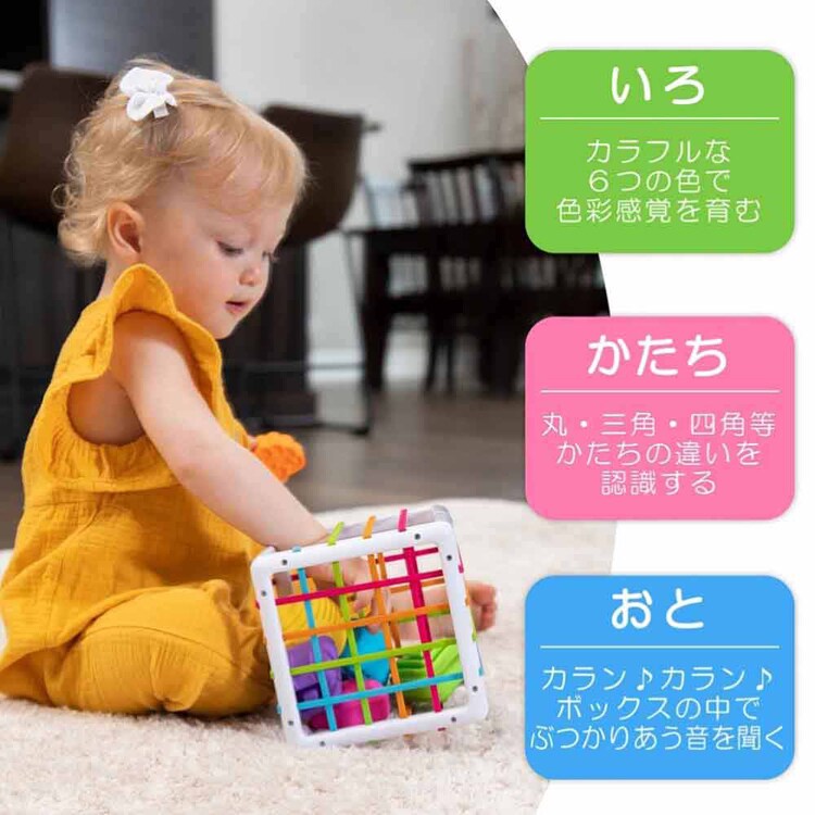 赤ちゃん おもちゃ 指先知育 ゴムボックス イニービン Inny Bin FA251-1