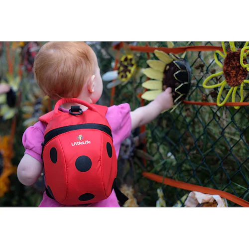 LittleLife �Ȃ肫��n�[�l�X�t�������b�N L10813 �Ă�Ƃ���_1