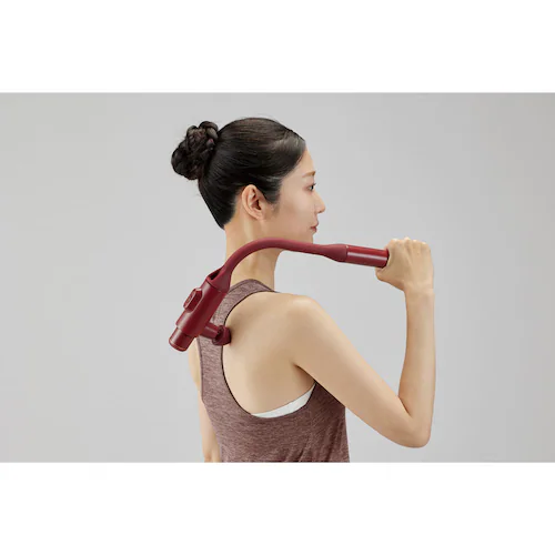 �A�e�b�N�X�����h �����h�K�� �v���X�A�[�� AX-HX450 ���b�h_1