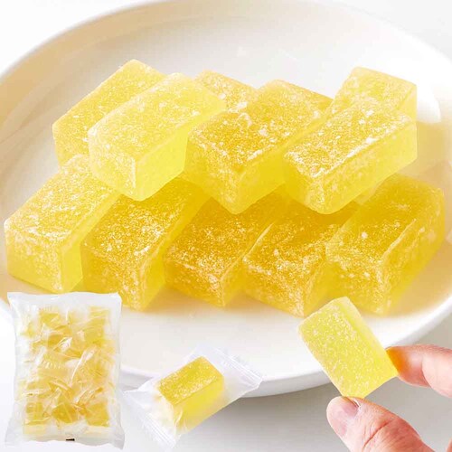 �V�R���� ���������V�[���[ 500g SM00011513_1