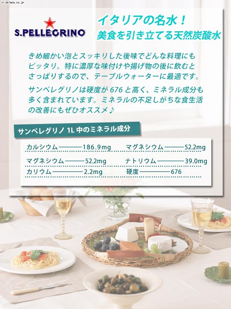 サンペレグリノ　500ml×24本入・500ml×24本入×2ケース
