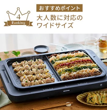 左右温調ホットプレート