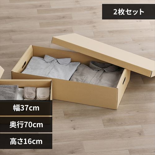 収納ケース ふた付き 段ボール収納 段ボール収納ケース2枚セット DB