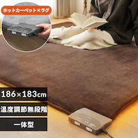 ENbVzbgJ[ybg PHC-CR20A-T uE