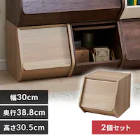 �y2�Z�b�g�z�J���[�{�b�N�X ���t�� �X�^�b�N�{�b�N�X STB-300D �i�`������