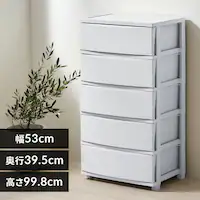 `FXg 5i gݗĊȒP [{bNX ^X Rl`FXg CLN-545 u[O[