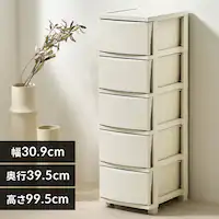 `FXg 5i gݗĊȒP [{bNX ^X Rl`FXg CLN-325 Cgx[W