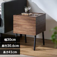 ACAEbhTChe[u IWST-300R EH[ibg/ubN