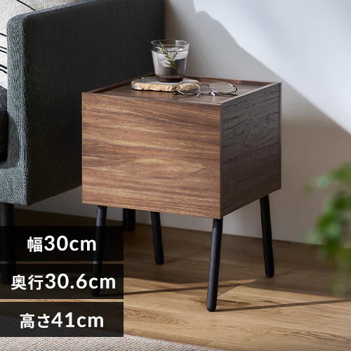 ACAEbhTChe[u IWST-300R EH[ibg/ubN_0