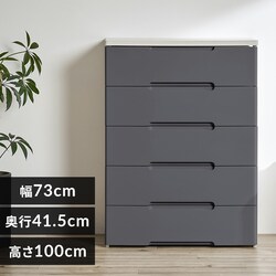 �E�b�h�g�b�v�`�F�X�g ����73cm 5�i �_�[�N�O���[ HG-725R