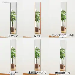 鏡 ミラー 全身 壁掛け 割れない おしゃれ 全身鏡 ワイドエッジ リフェクスミラー 30cm×150cm シャンパンゴールド NRM-3【代引不可】【同梱不可】 【直送】