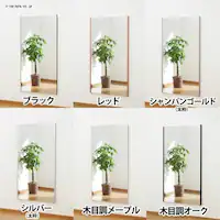  ~[ Sg Ǌ| Ȃ  Sg XGbW tFNX~[ 80~150cm VpS[h RM-6SGysz