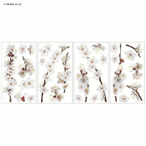 �h�b�O�E�b�h �t�����[ RMK2085SCS ���[�����C�c