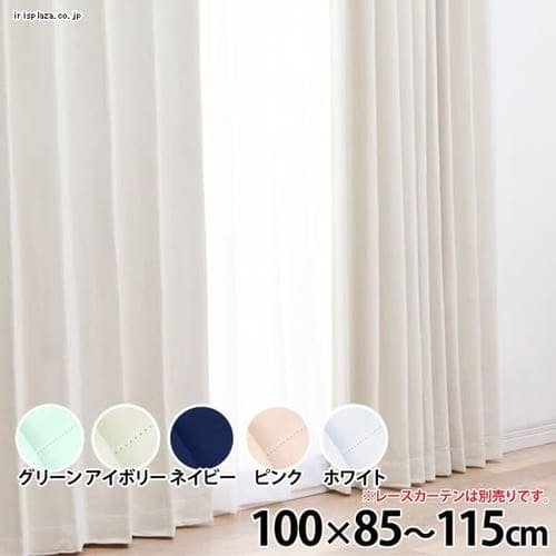 IPモノクローム 幅100cm×丈 90cm×2枚組み ネイビー【同梱不可】