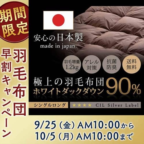 WDD90% 1.2kg SL n/x[W