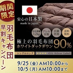 WDD90% 1.2kg SL n/x[W