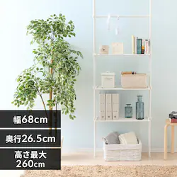 ˂ǖʎ[bN TWR-680 X/zCg