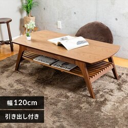 �y���ԑюw��s�z���o�t���r���O�e�[�u�� DLT-1200 �u���E��  