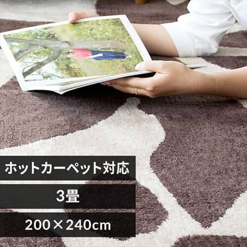 ラグ シャギー リーフ柄 ジャガード織 200×240cm JGDR-REEF-2024 ブラウン_0