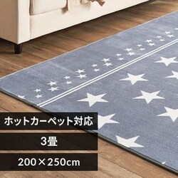 ���O �t�����l�� 200�~250cm FNR-RC-2025 �X�^�[�~�O���[