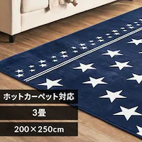 ���O �t�����l�����O �R�ۖh�L �h�_�j���H 200cm�~250cm �X�^�[�u���[ FNR-RC-2025