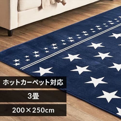 O tl 200~250cm FNR-RC-2025 X^[~u[_0