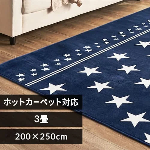 O tl 200~250cm FNR-RC-2025 X^[~u[_0